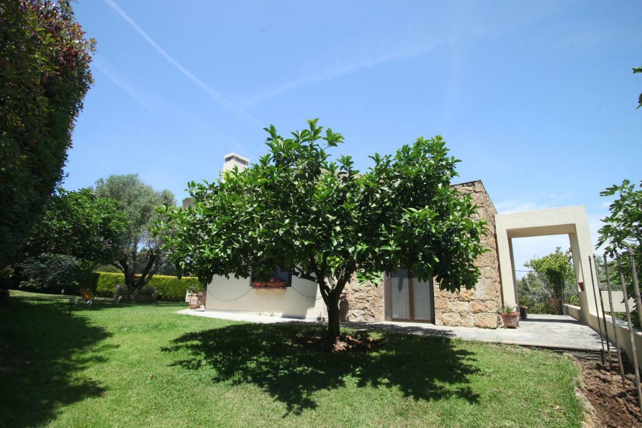 Case de vacanță #luxlikehome - Sanni Retreat *